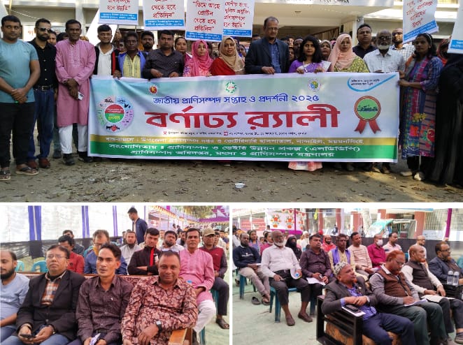 নান্দাইলে জাতীয় প্রাণিসম্পদ সপ্তাহ ও প্রদর্শনী ২০২৫ উদযাপন উপলক্ষে উদ্বোধনী ও পুরস্কার বিতরণ অনুষ্ঠিত।