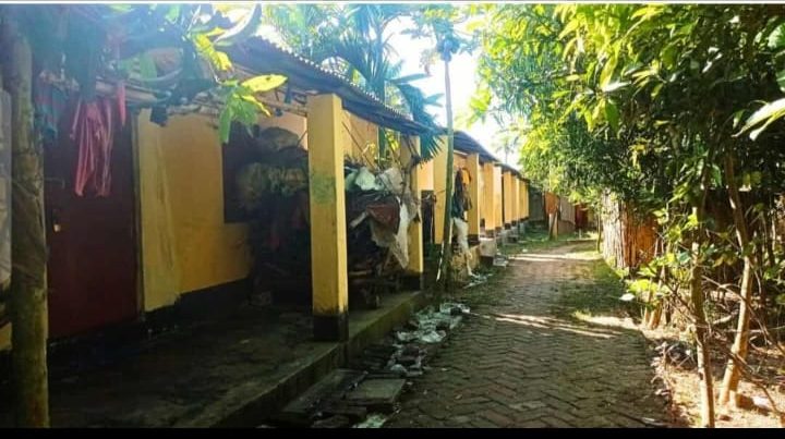 নয়াপাড়া আশ্রয়ন প্রকল্পে দখল–অব্যবহারের অভিযোগ: বঞ্চিত প্রকৃত ভূমিহীনরা