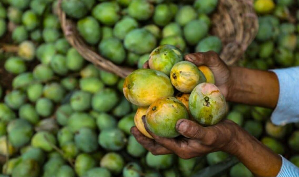 জাপানের পর এবার নেপালেও নিষিদ্ধ ভারতীয় আম