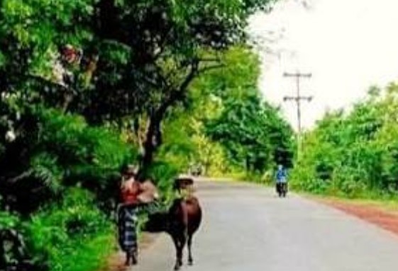 কিশোর গ্যাং এ জীম্মি মনিরামপুরের ইত্যা গ্রাম মাদক সন্ত্রাসে একাকার 
