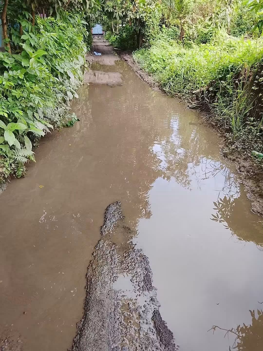 রাস্তা নাকি নদী! নবীনগরের বানিয়াচং মোড় থেকে দীর্ঘসাইর রাস্তার বেহাল দশায় জন দুর্ভোগ চরমে 